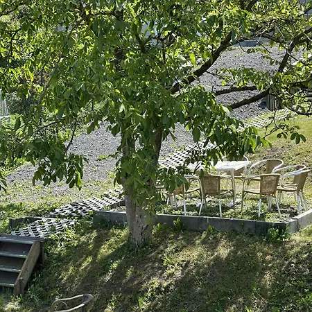 Prázdninový dům La Tulipe